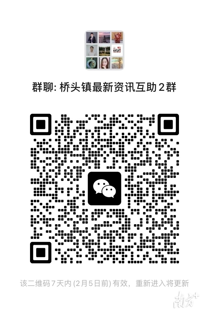 今年春节期间，桥头荷花文旅产业园千亩七彩花田内百花盛放。