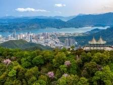 邓飞波：盐田将重点抓好旅游、消费、物流“三件大事”｜深圳高质量发展大会