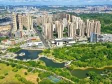 杨军：坚持制造业高质量发展，力争全年GDP增10%以上｜深圳高质量发展大会