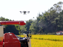 春风浩荡征途新，看广东如何播下“春天第一粒种子”