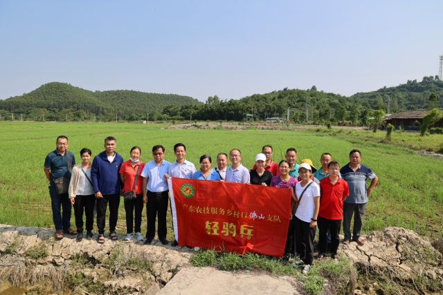佛山植保“轻骑兵”精准服务出实招｜十大先锋队伍⑦