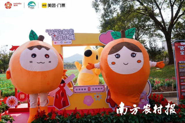 平远县联合美团推出春节假期旅游活动