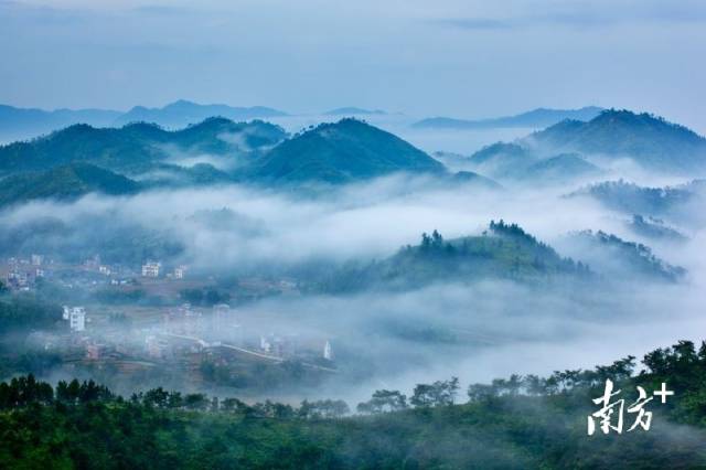 雾满山村--黄君芳摄
