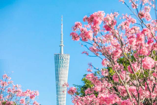 南方农村报 樊静东 制图