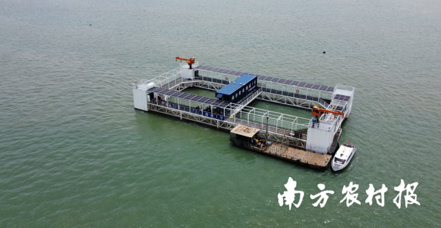 湛江流沙港海域，桁架式大型网箱 “海威1号”