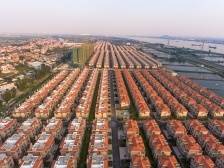 大岗镇：力争实现企业上市零的突破丨高质量发展朝“南”看