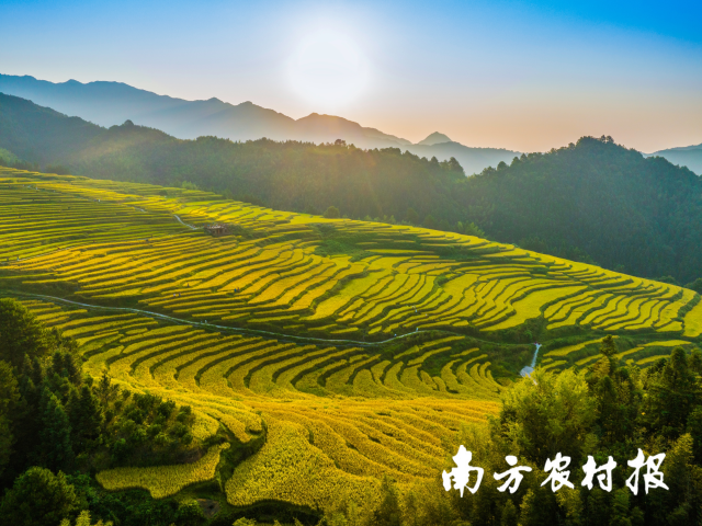 位于清远连山的欧家梯田是广东省规模最大、最原生态的梯田。谭家富 摄