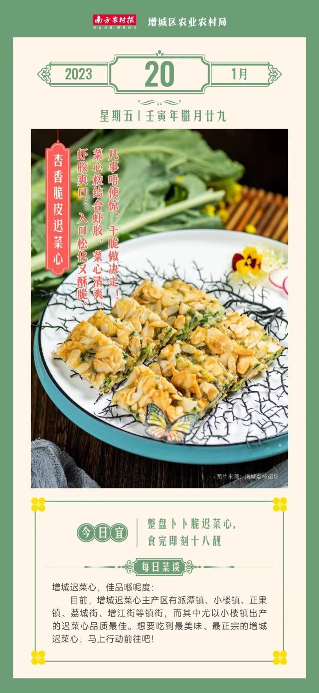 南方农村报 陈志深 制图