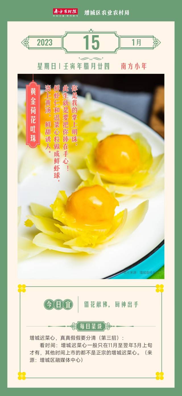 南方农村报 陈志深 制图