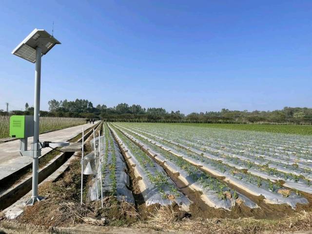 生物防虫灯助力绿色种植