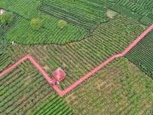 广东县域振兴如何推进？中国社科院专家魏后凯支招