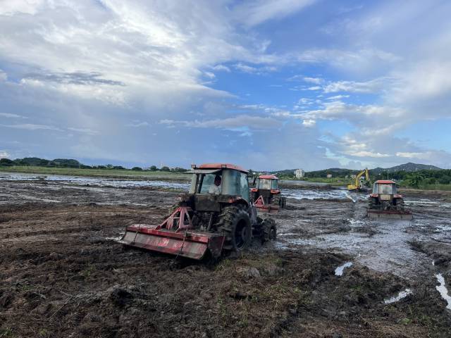 广东从南到北已陆续开展春耕备耕