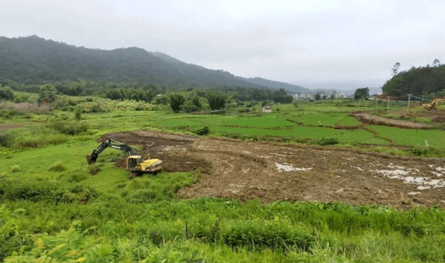 茂名出台政策：撂荒两年的耕地将被无偿收回