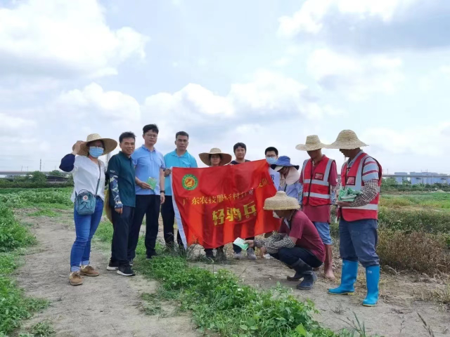 南方农村报 杨吉龙 拍摄