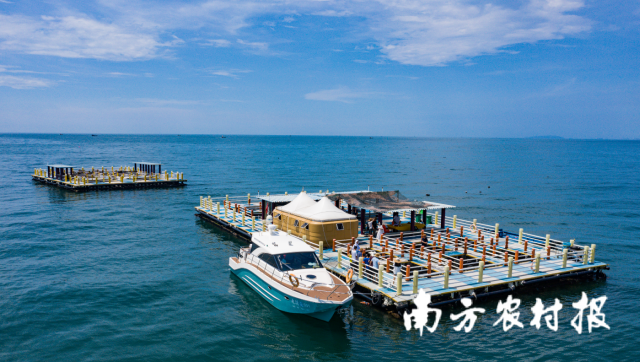 汕尾市加快推进海洋牧场建设。