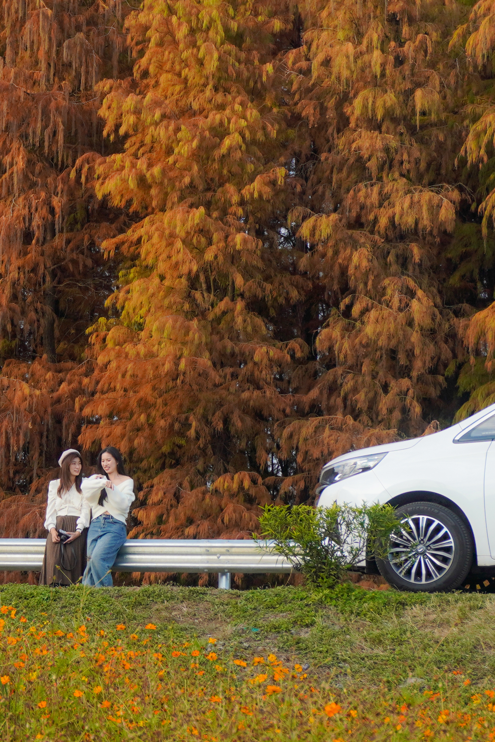 游客打卡伦教美岸示范点。 南方拍客 供图