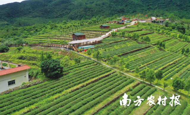 汕尾市深入开展乡村振兴示范带建设。