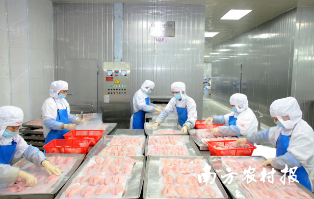 汕尾市不断延伸产业链条，提升产业附加值。