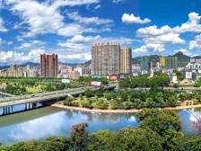 【大宏图·“县”在启航】广东连州：小菜心长成青翠“产业树”，古城邑走上红火“共富路”