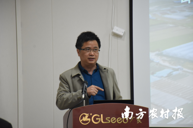 广东省农业科学院蔬菜研究所所长谢大森