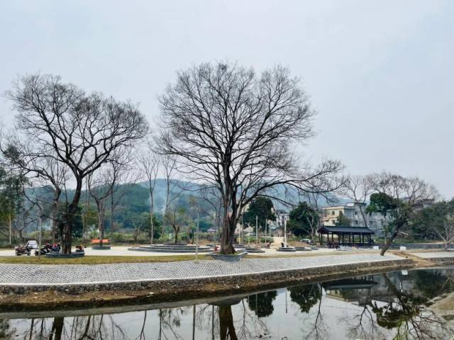 封开县建设“三镇连片”驻镇帮镇扶村品牌项目节点村景色