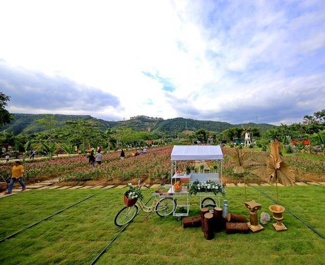 四会市古邑绥江碧道画廊省级乡村振兴示范带北段生态农旅体验片桔子景区生态圈