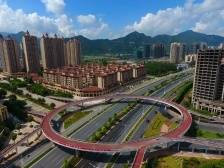 刘运通：鼎湖打造制造业高地，加快现代化建设｜问计高质量发展