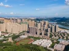 “我们信心满满！”锚定高质量发展，博罗企业定下这些目标