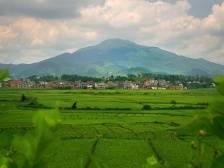 南方观察 | 一般公共预算收入增长率全省第1，看云安如何探索县域高质量发展路径