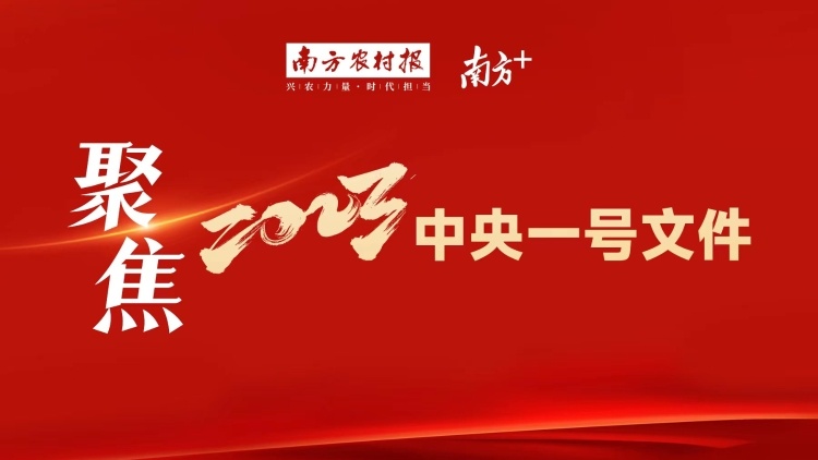 一图速览2023年中央一号文件（附全文）