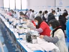 当好“服务员”，助企“加速跑”！广东多地政企联动推动高质量发展