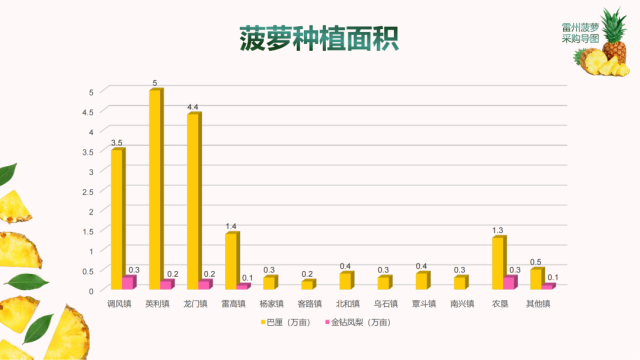 雷州菠萝种植面积柱状图 雷州市农业农村局 