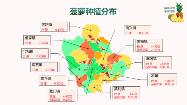 雷州菠萝种植分布图 雷州市农业农村局