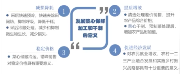 菜心保鲜意义重大