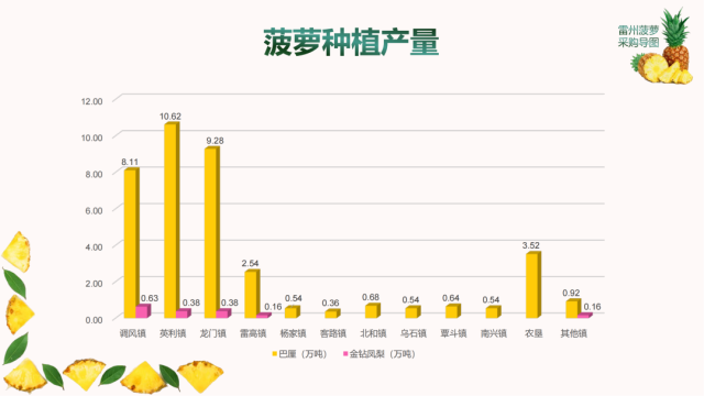 雷州菠萝种植产量柱状图 雷州市农业农村局