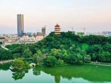 旗山时评｜乡贤归来，小榄出发！