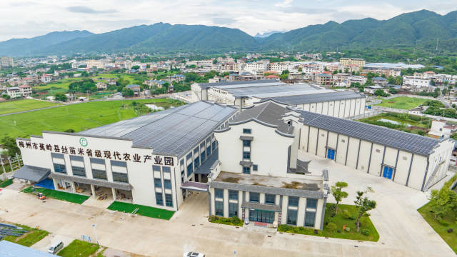 蕉岭县丝苗米省级现代农业产业园