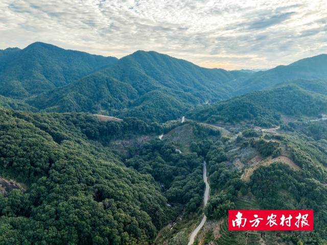 广东省已建有14个国家森林城市，是全国森林城市数量最多的省份。