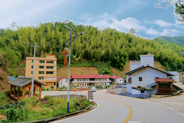 南磜镇白水村有着丰富的毛竹资源。