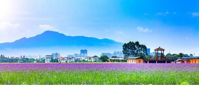 蕉岭县“水墨长潭”美丽乡村精品线路上的景观。