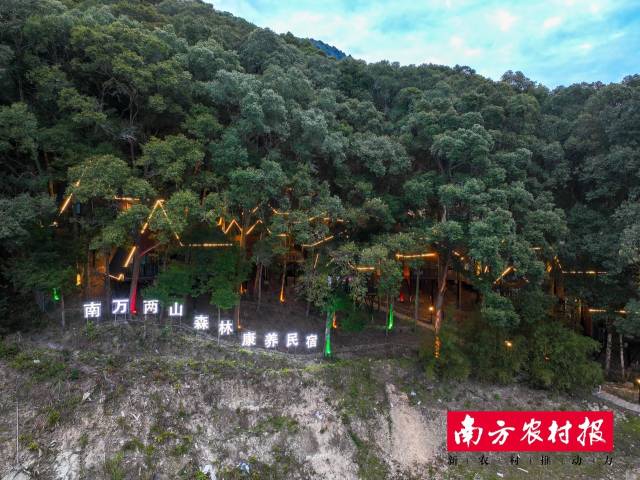 南万镇两山森林康养民宿