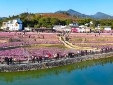 河源东源：“东江画廊”乡村振兴示范带建设成效显著