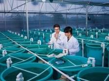 海大集团董事长、总裁薛华：未来三年投资80亿元，助力广东向海而强