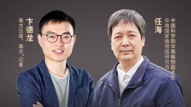 华南国家植物园任海：将岭南特色植物打造为享誉世界的广东品牌｜聊一聊高质量发展④