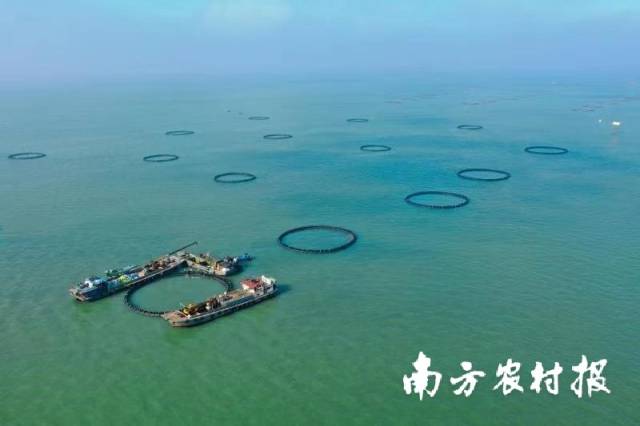 受訪者供圖