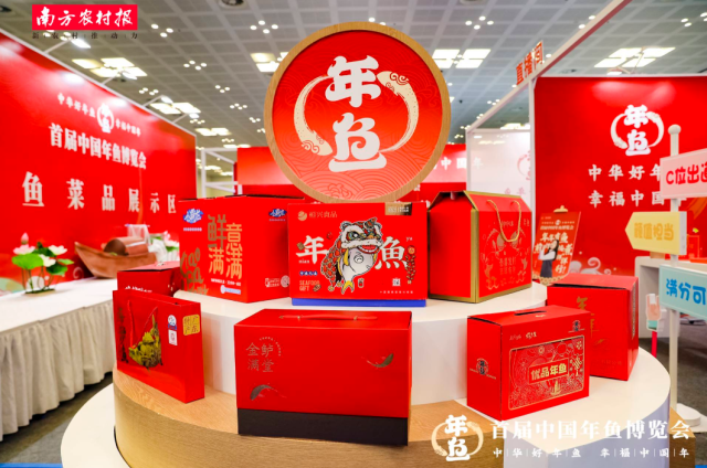珠海市人大代表杨勇：打造“中国年鱼之都”