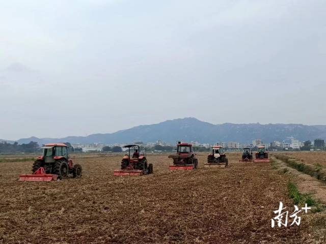 順杰農(nóng)機(jī)種養(yǎng)專業(yè)合作社的農(nóng)機(jī)設(shè)備開足馬力備春耕