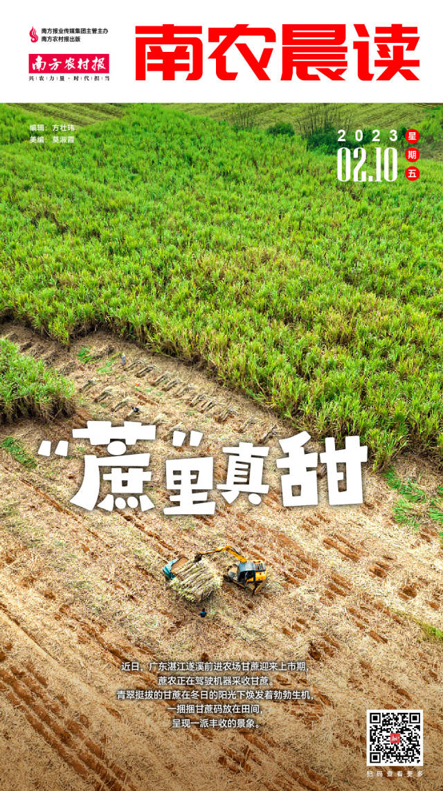 南方农村报 樊静东 制图