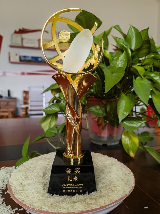 广东米粒农业发展有限公司“19香”获得2022年黑龙江大米节籼米组金奖