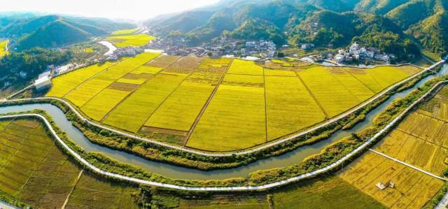 兴宁市是广东水稻种植的主产区之一，拥有良好的水稻种植条件。